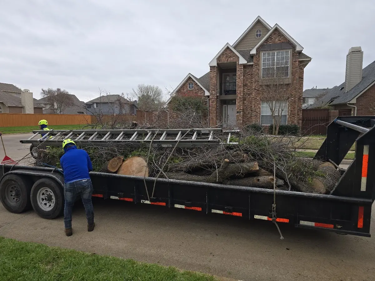 Expert Tree Fertilization with proper safety equipment in Sylvania